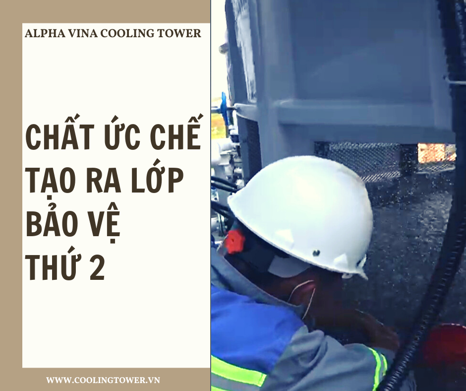 Chất ức chế thường được sử dụng vì hiệu quả mang lại