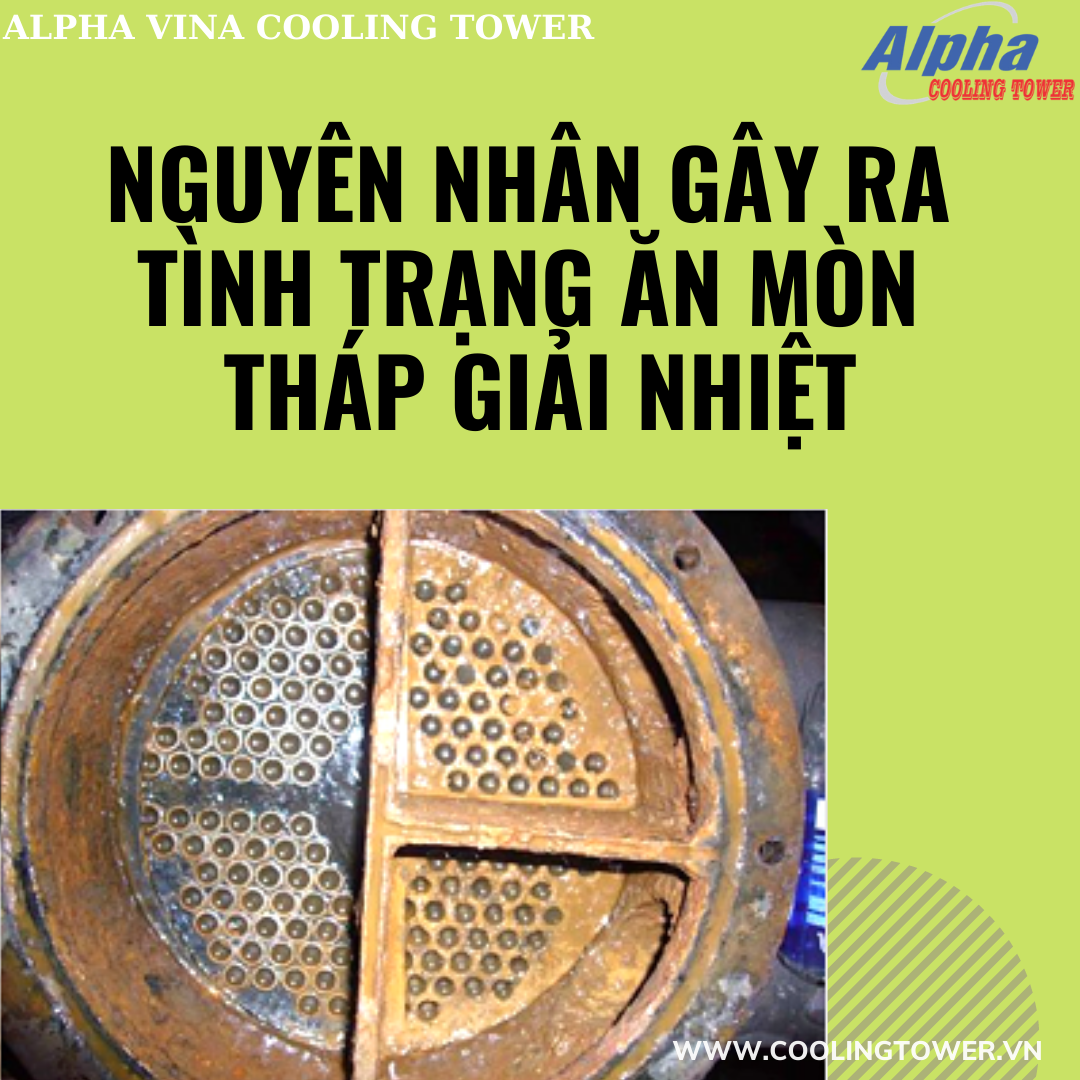 Nước cứng chưa qua xử lý là nguyên nhân chính gây ra