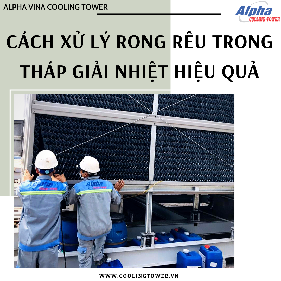 Có 2 giải pháp chính trong việc xử lý rong rêu tháp giải nhiệt