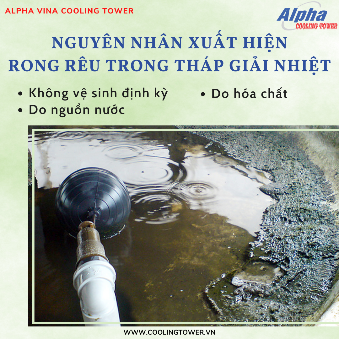 Nguồn nước chưa được xử lý cũng là nguyên nhân gây ra